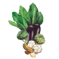 Холинът е жизненоважен за здравето на черния дроб. Недостигът му може да доведе до натрупване на мазнини и холестерол в черния дроб. 