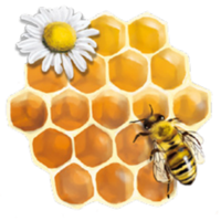 Наричано „Дървото на живота“, мескитът е почитан от векове от коренните американски племена като суперхрана. 