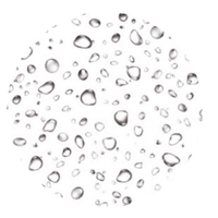 Водата е реката, по която тече нашето здраве. Недостатъчният прием може да сгъсти кръвта, затруднявайки филтрацията и натоварвайки допълнително черния дроб. Затова водата е жизненоважна съставка и препоръчваме да изпиете голяма чаша вода с всяка бутилка de-liver-ance®.